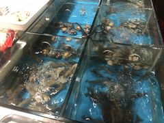 水产区-大中华希尔顿酒店-念自助餐·嗨啤·小龙虾