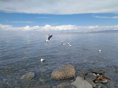 -青海湖国家重点风景名胜区