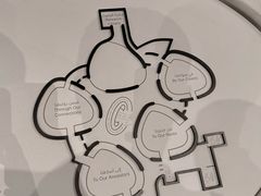 -扎耶德国家博物馆