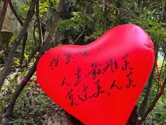 -将军关探险漂流