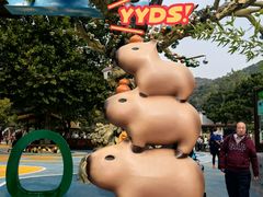 -大连森林动物园