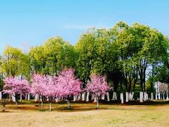 -钟山体育运动公园