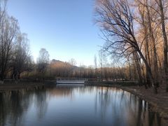 -金隅八达岭温泉度假村餐厅