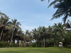 -味餐厅·海鲜·火锅·自助餐