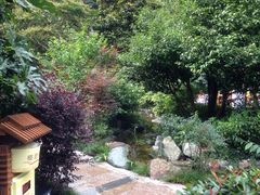 -黄山温泉国际旅游度假区