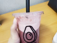 -油梨树AVOCADO TREE(嘉里中心店)