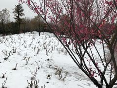 -南通洲际绿博园