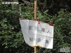 -人民公园-相亲角