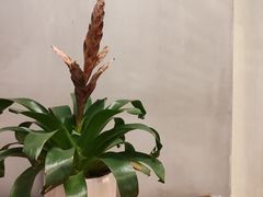 -川锅哎哟·麻辣香锅(国大城市广场店)