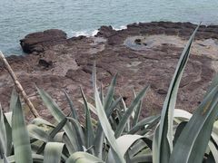 -漳州滨海火山岛自然生态风景区