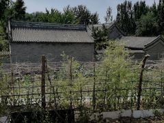 -护国天仙圣母庙