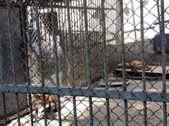 -哈尔滨北方森林动物园