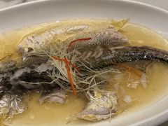-国惠大酒楼(宝龙店)