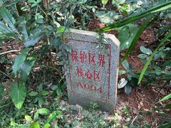 -海南铜鼓岭景区