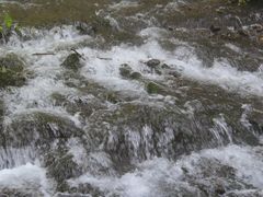 -峡谷浮石林景区