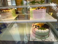 -维尔纳斯·生日蛋糕动物奶油冰淇淋蛋糕(人大店)