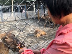 -长白岛森林公园