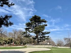 -秦岭终南山世界地质公园翠华山景区