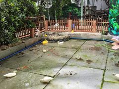 -正佳雨林生态植物园