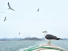 -海驴岛(荣成市)