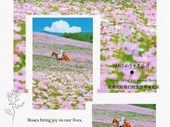 -武汉木兰草原风景区