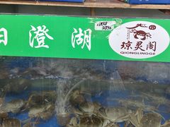 -阳澄湖大闸蟹·琼灵阁牌品牌连锁(吴中总店)