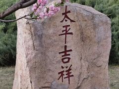 -莲花池公园