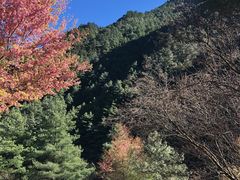 -苍山感通索道