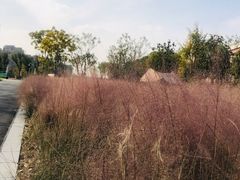 -苏州河梦清园环保主题公园