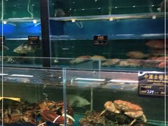 水产区-神洲四海大酒楼(王府井澳门中心店)