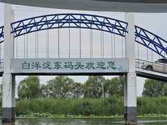 -白洋淀景区
