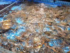 -山海•蒸汽活海鲜自助(皇庭广场店)