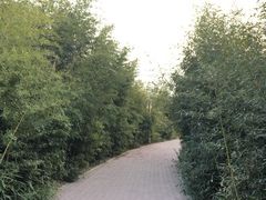 園內環境-郑州植物园