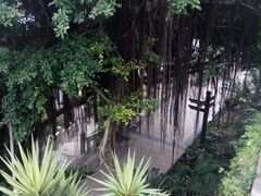 -船政文化景区-罗星塔公园