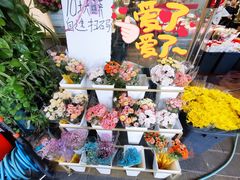 -溪岸路花鸟市场