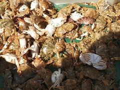 -嵊泗基湖沙滩