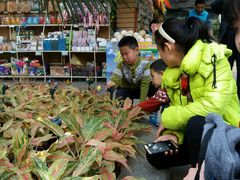 -丰台科技园生态主题公园