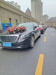 -蚂蚁婚车