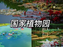 -国家植物园