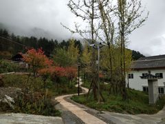 -硗碛藏寨·神木垒景区