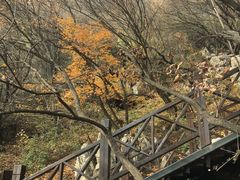 -狼牙山风景区