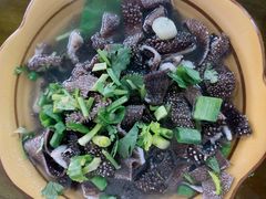 -小杨翘脚牛肉