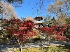 -莲花池公园