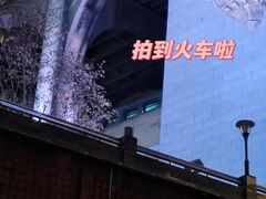 -武昌江滩