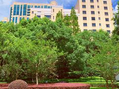 -徐家汇源景区-衡山公园