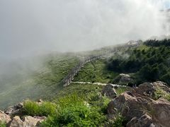 -白草畔自然风景区