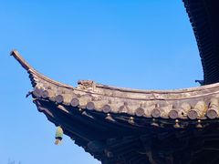 -上海方塔园