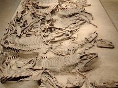 -太原市博物馆