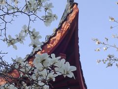 -堤角公园