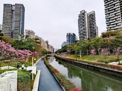 -深圳湾公园(南山区)
